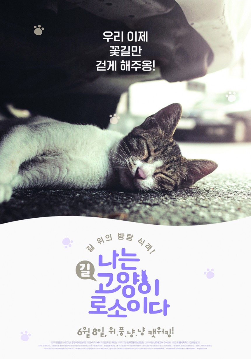 ‘고양이로소이다’ 메인포스터/필앤플랜