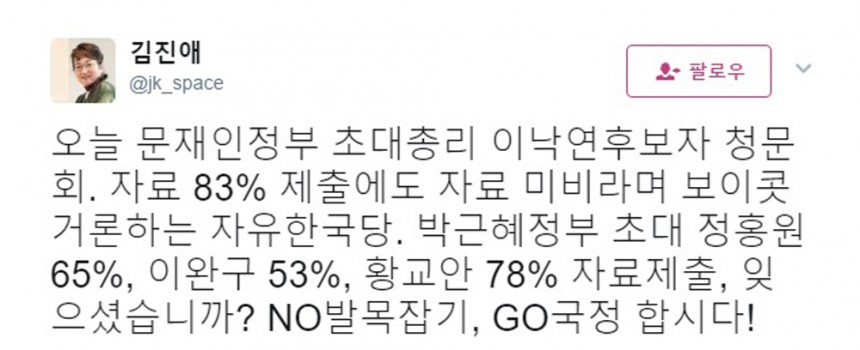 김진애 전 의원 / 김진애 전 의원 트위터 화면 캡처