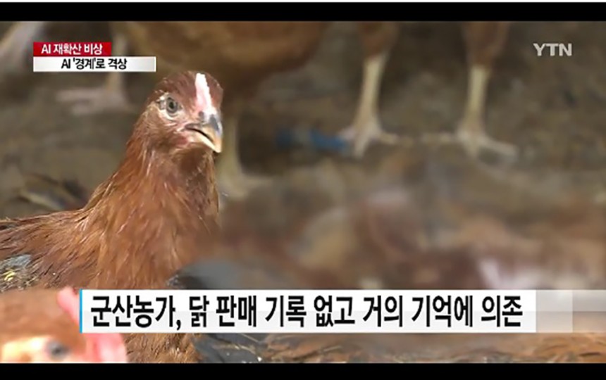 양계 농가 / YTN뉴스 화면 캡처