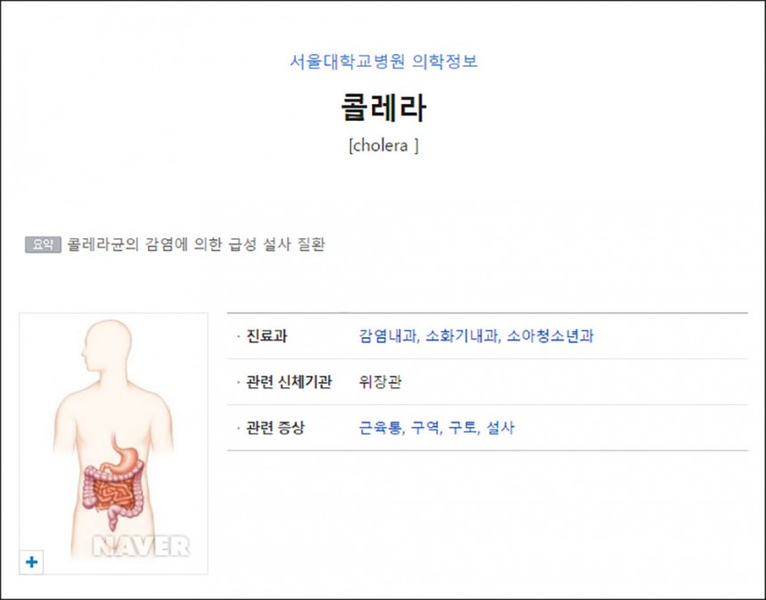 콜레라 / 네이버 서울대학교병원 의학정보 캡처