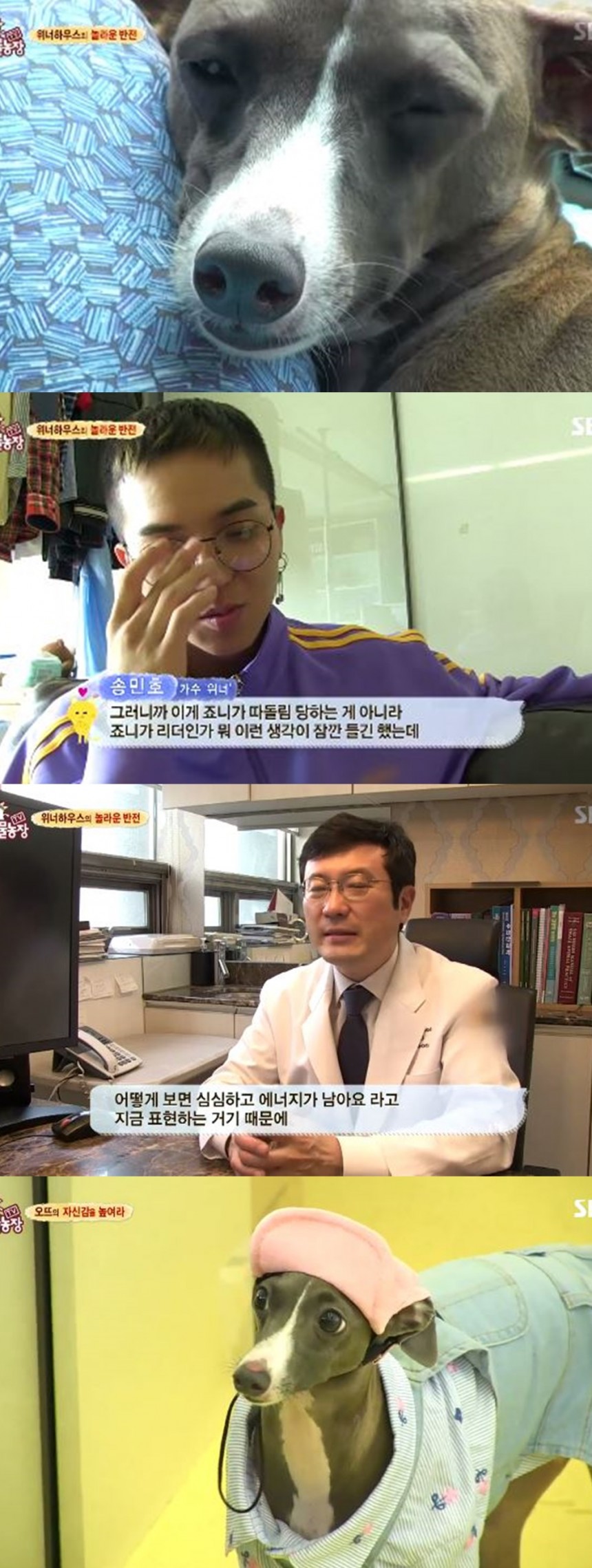 ‘동물농장’ 방송장면/SBS
