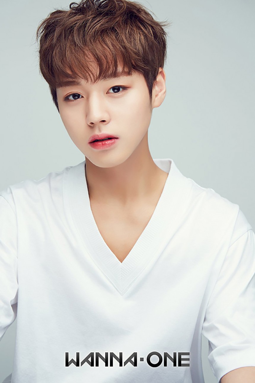 워너원 박지훈 / 워너원 공식 SNS