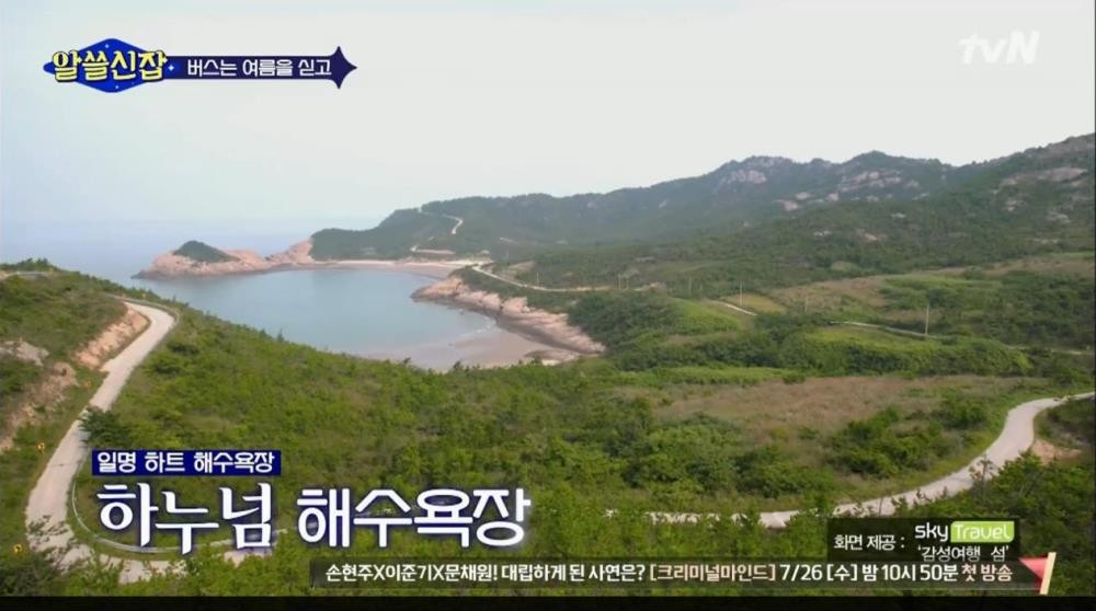tvN ‘알쓸신잡’방송 캡처