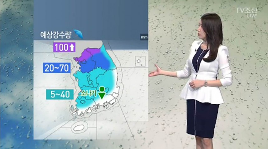 중부 경북에 장맛비 / TV조선 방송화면 캡처