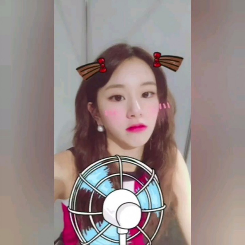 트와이스 채영 / 트와이스 SNS