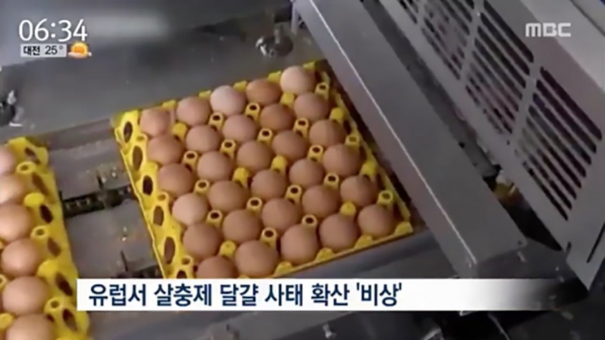 살충제 달걀 / MBC