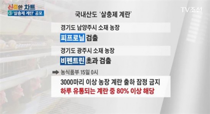 관련 사진 / TV 조선