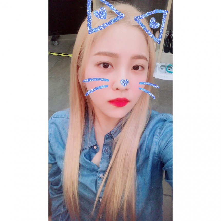 레드벨벳 예리 / 레드벨벳 SNS