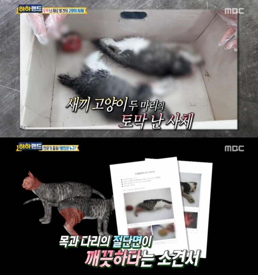 ‘하하랜드’/MBC ‘하하랜드’ 방송 캡처