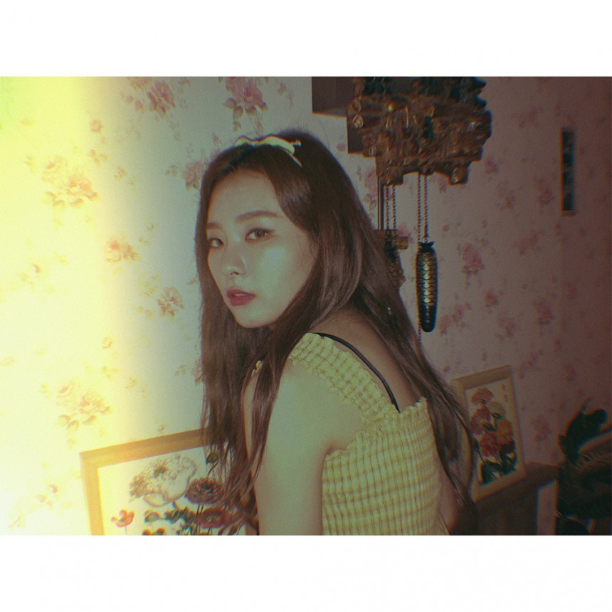 레드벨벳 슬기 / 레드벨벳 SNS