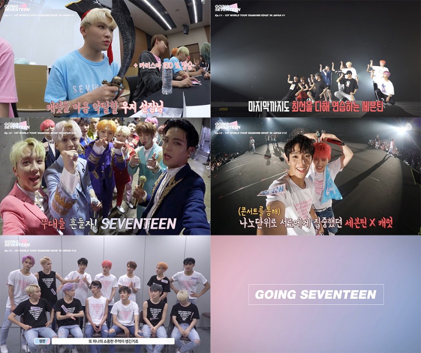 세븐틴(Seventeen) / 플레디스 ENT