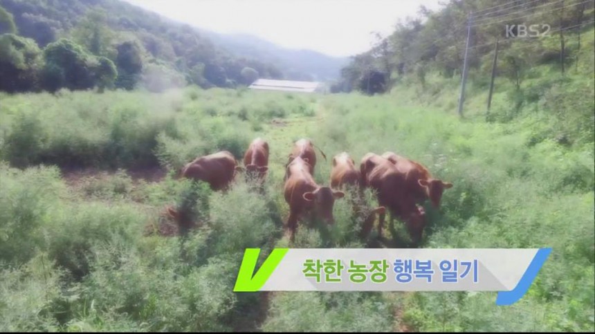 KBS2 ‘VJ특공대’ / KBS2 ‘VJ특공대’ 방송 캡처