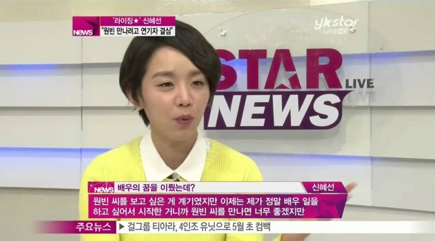 ‘스타뉴스’ 신혜선 / Y-STAR ‘스타뉴스’ 화면 캡처