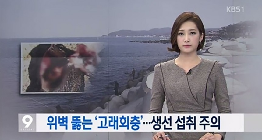 고래회충 / KBS 방송 캡쳐