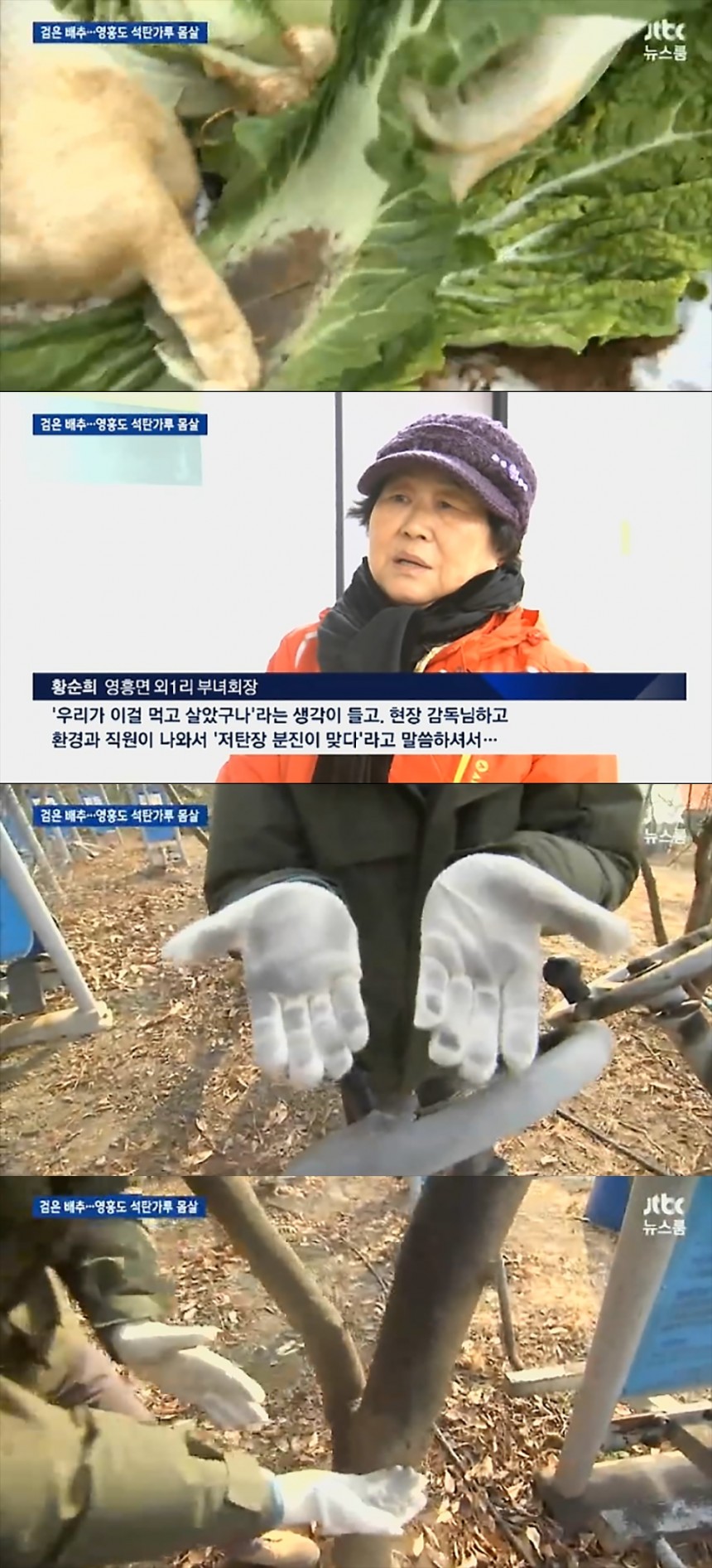 JTBC ‘뉴스룸’ 방송 캡쳐