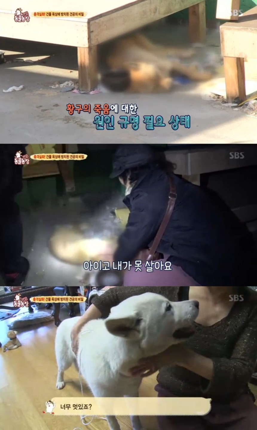 SBS ‘동물농장’ 방송캡쳐