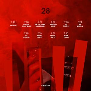 치타(Cheetah), 데뷔 8년 만에 첫 정규앨범 발표…&apos;28 IDENTITY&apos;로 컴백