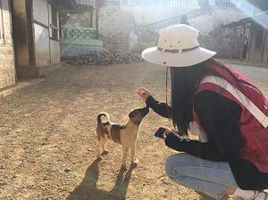 [근황] 설현, 미얀마 봉사활동 근황 공개 “강아지도 이쁜거 알아보네”