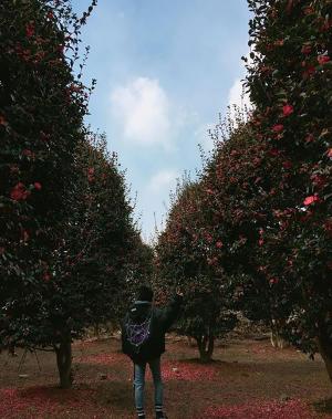 [근황] 오늘(19일) 입대 이현우, 입대전 손에 브이 하며 찍은 사진 공개…“간다”