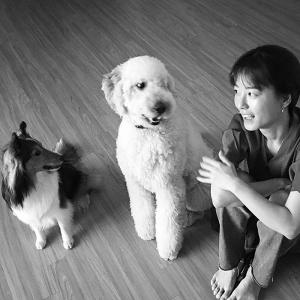 [근황] ‘윤식당2’ 정유미, 강아지와 함께 ‘시선 집중’