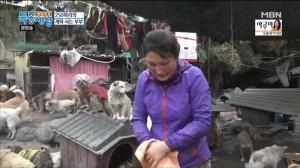 ‘현장르포 특종세상’, 250마리의 개들과 동거하는 여자
