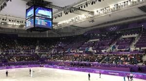 [근황] 박서준, 평창동계올림픽 응원 “우리 선수들”