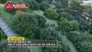‘생생 정보마당’ 봄맞이 충남 패키지 여행…“서천 동백나무숲”