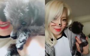 [근황] 소녀시대(SNSD) 효연, 반려견 비너스와 함께 한 일상 공개 “미모 무슨 일이야”