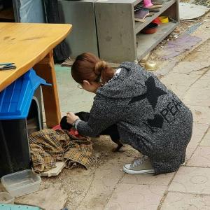 트로트 가수 차은성, ‘16일 컴백 예정’ 소식과 함께 근황 전해…‘강아지와 함께’