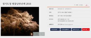 수원 ‘경기도청 벚꽃축제’, 13일(오늘)부터 15일까지 진행돼…‘행사 및 임시주차장 장소는?’