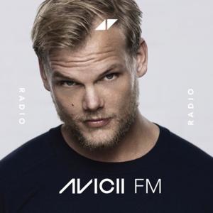 천재 DJ 아비치(Avicii),  하나의 별이 지다…천재들의 수명은 짧다?