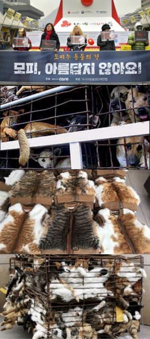 대한민국 NO-FUR 캠페인, 반려동물 모피 수·출입 반대운동…“시민 의식이 중요”