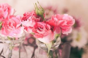 5월 14일 ‘로즈데이’가 뜻하는 의미와 장미의 꽃말은?