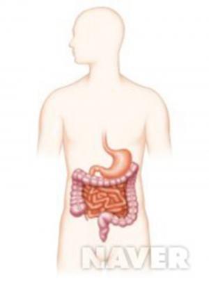 크론병, 윤종신도 앓고 있는 만성 염증성 장질환…‘유지태-신동욱 또한 희귀병 투병 중’