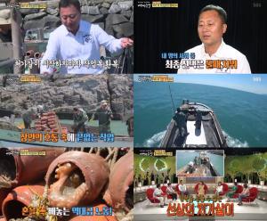 ‘백년손님’ 문어 3000마리 잡는 김서방…여수 바다 위의 ‘극한 처가살이’