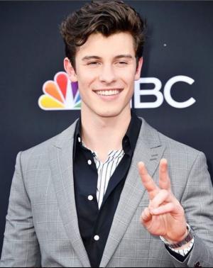 션 멘데스 (Shawn Mendes), 해외 팬들 사로잡는 치명적인 미소 발산해…‘쏘스윗’