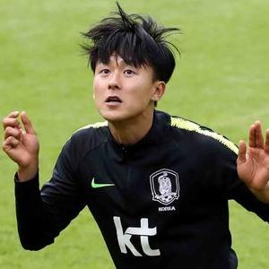 [2018러시아월드컵]스웨덴·독일 취재진, 한국 월드컵대표팀 훈련장 찾아 ‘두리번’