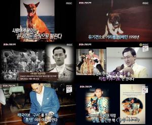 ‘서프라이즈’ 통댕의 견생 2막, 유기견이 국민개가 된 사연
