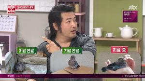 ‘냉장고를 부탁해’ 김보성, ‘조류 공포증’ 있지만 집에 날아든 새 치료하는 ‘의리’…이연복 “나중에 박씨 물고 오겠다”
