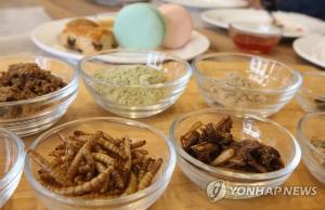 한국한의학연구원, “곤충 추출물이 비알코올성 지방간 개선시켜” 규명