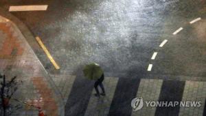 ‘기습 폭우’ 우이천서 60대 20분가량 고립 후 구조…서울 각 소방서 발빠른 대처