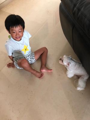 이휘재 아내 문정원, 강아지와 노는 서언-서준 모습 공개 “강아지가 키우고 싶은 6세들”