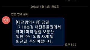 대전 중구 대전 동물원서 암컷 퓨마 1마리 탈출…공포에 떠는 시민들