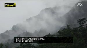 ‘이규연의 스포트라이트’ 북한 명승지, ‘호국 명산’ 묘향산의 절경 “묘한 골짜기에 향기 풍겨”