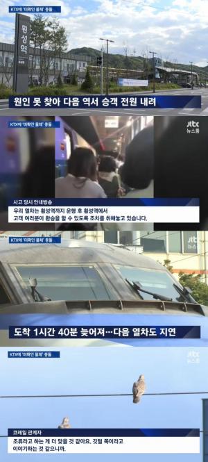 ‘JTBC 뉴스룸’ KTX 강원 횡성서 미확인 물체와 충돌…코레일 측 “조류에 가까워”