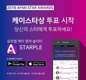 아시아태평양 스타 어워즈(2018 APAN Star Awards) 케이스타상 인기투표 결과는? 정해인 vs 박서준, 박민영 vs 아이유