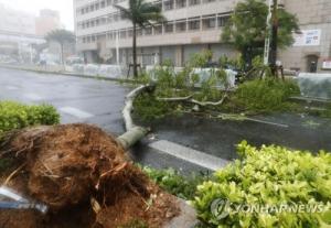 초강력 태풍 짜미의 위력…일본 공항 폐쇄·35만명 대피령