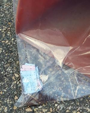 안산 붉은불개미 컨테이너 청소기 박스 개봉, 총 31마리 추가 발견…여왕개미 행방 ‘오리무중’