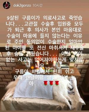 도끼, 강아지 구름이 의료사고 소식 알려…“의사가 주인 동의없이 재수술해”