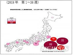 일본 풍진 유행, 도쿄만 올들어 239명 감염…임산부 감염되면 태아 백내장·소두증 등 위험